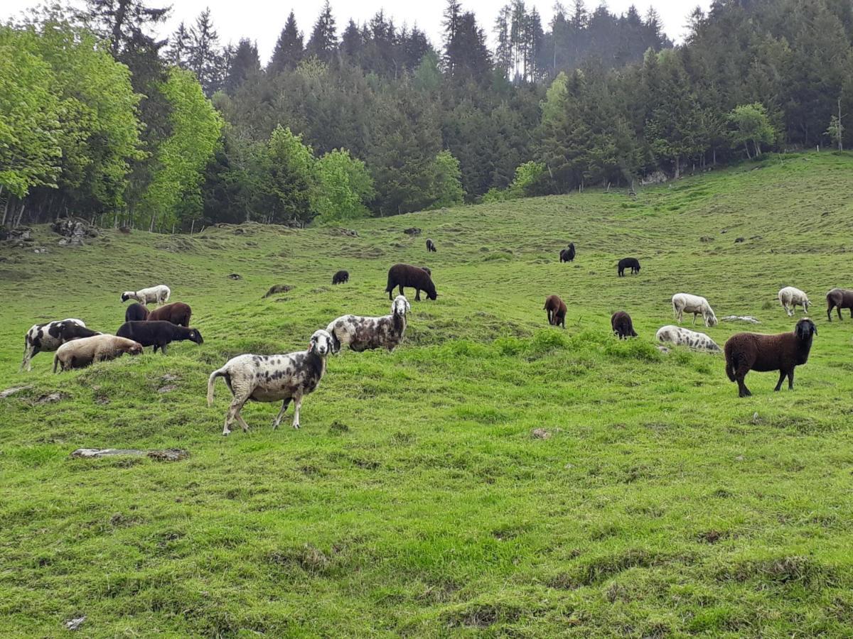 Stallerhof Hüttschlag Eksteriør billede